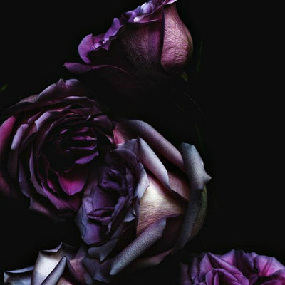 Patchouli Noir