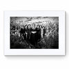 Limited Edition numbered and signed. Cornfield, Thrace | Black-and-white wall art photography from Greece