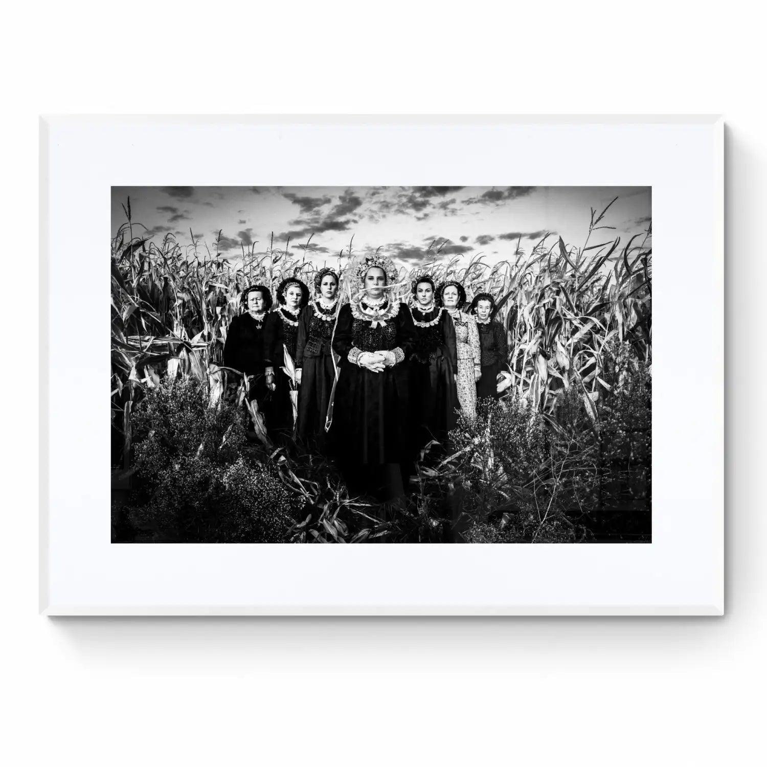 Limited Edition numbered and signed. Cornfield, Thrace | Black-and-white wall art photography from Greece