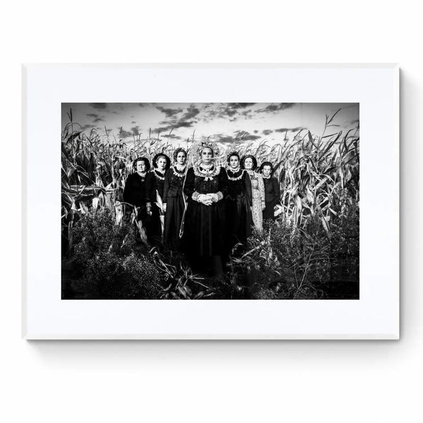 Limited Edition numbered and signed. Cornfield, Thrace | Black-and-white wall art photography from Greece