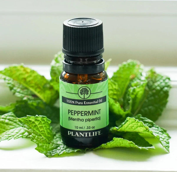 Peppermint Essential Oil - Gifts for You 'n Me