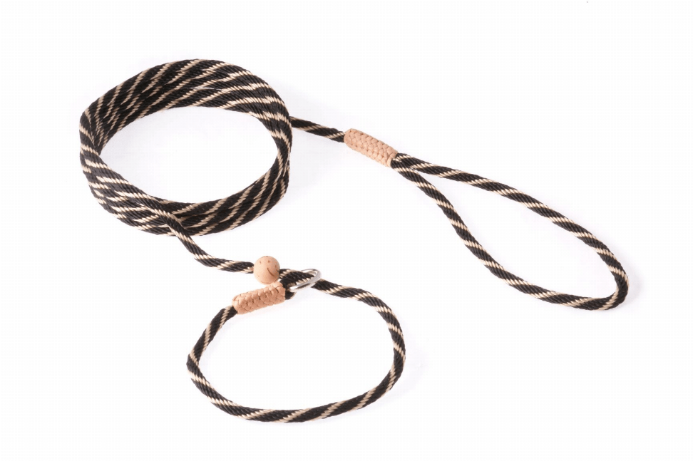 🐕 Premium Alvalley Nylon Slip Lead with Stopper 🧵