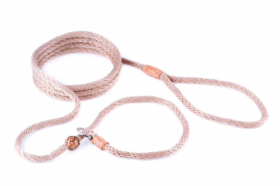 🐕 Premium Alvalley Nylon Slip Lead with Stopper 🧵