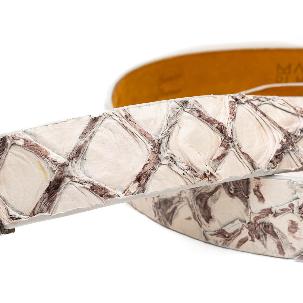 Olivieri Belt Newspaper