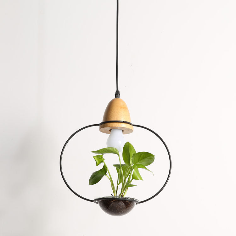 Glass Plant Pendant Light