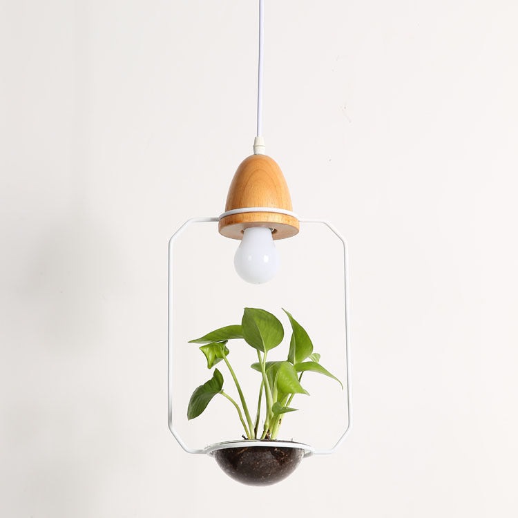 Glass Plant Pendant Light