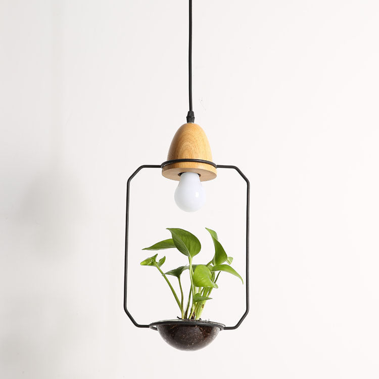 Glass Plant Pendant Light