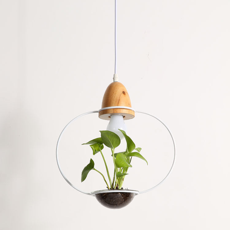 Glass Plant Pendant Light