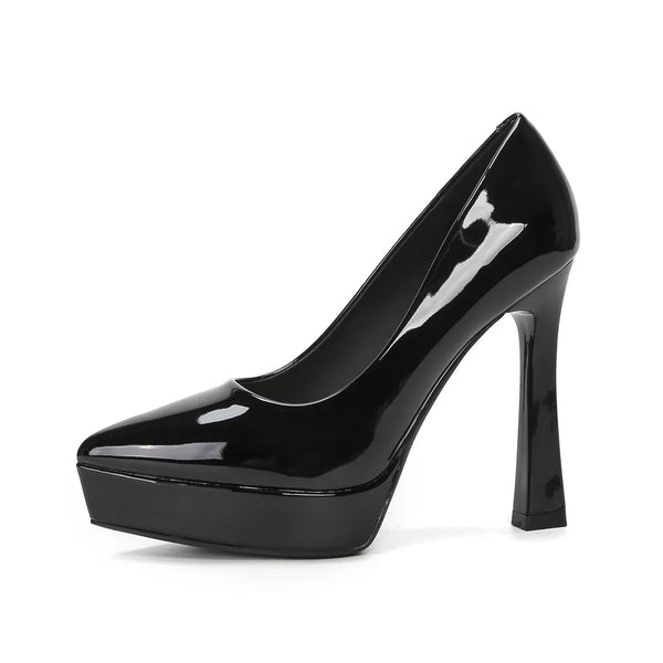 Point Toe High Heel Pumps