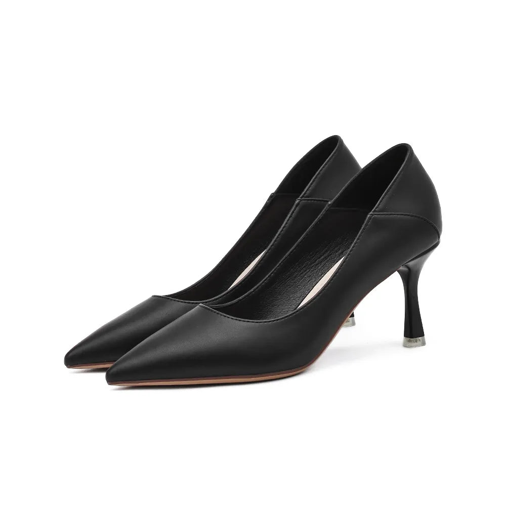 Point Toe Stiletto Pumps