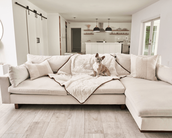 PupProtector™ Summer Short Fur Waterproof Throw Blanket - Polar White