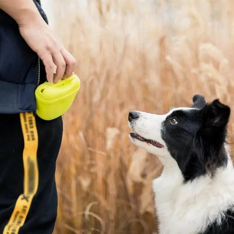 Portable Dog Training Treat Pouch Substantial Clip Cool Outdoor Feed Storage Pouch Waist Bags For Pets