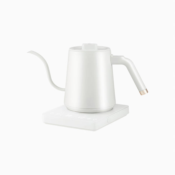 Electric Gooseneck Pour-Over Kettle