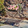 Two Tier Iron Flower Push Cart 