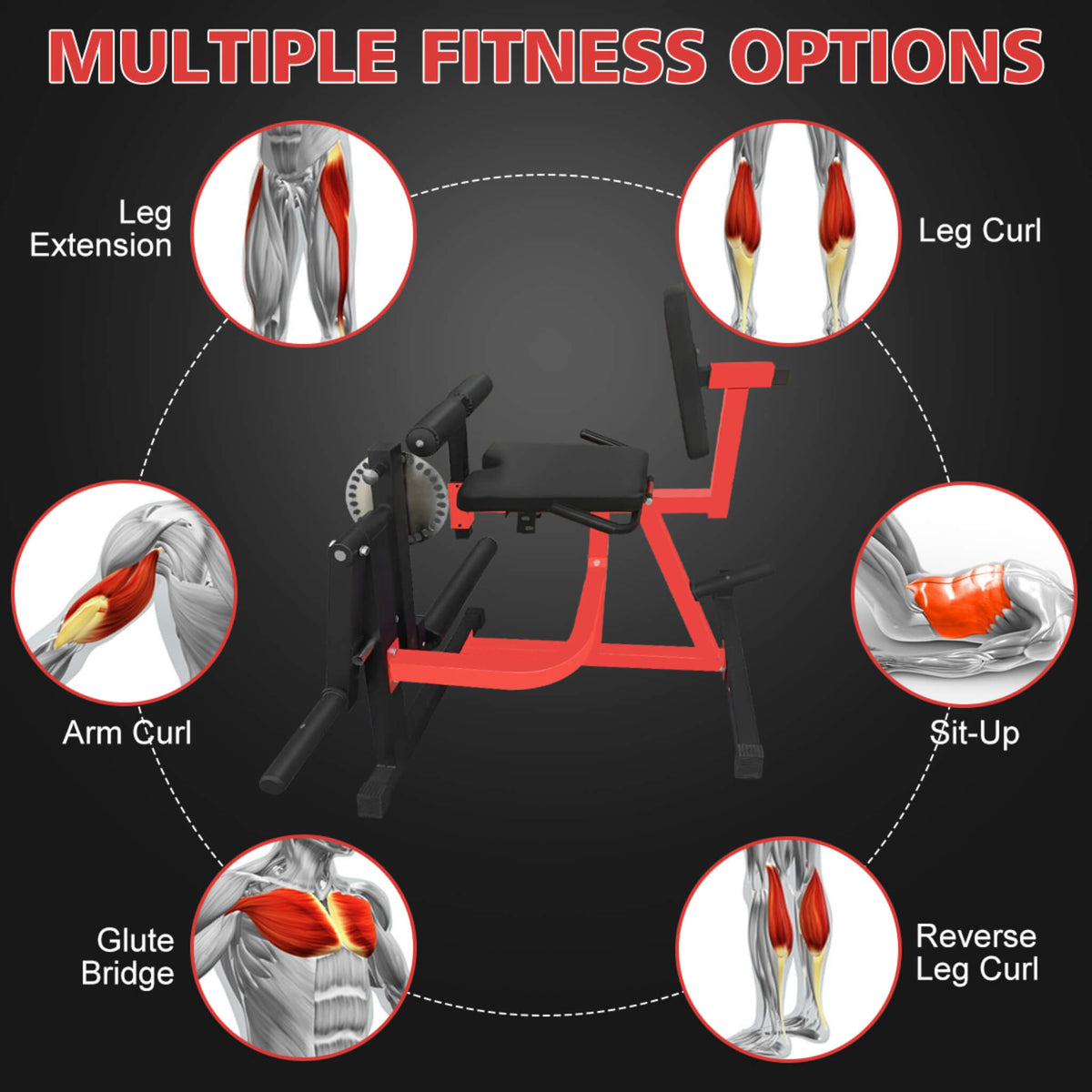 Premium 3-In-1 Multi-Functional Adjustable Leg Extension And Curl Machine For Lower Body Workouts (SAK21427)