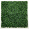 Sample Panel – Dark Boxwood Green Wall (Small Sample)