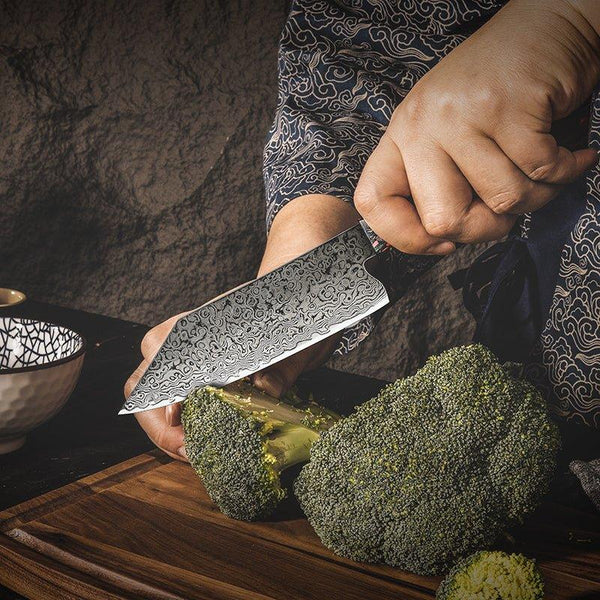 Pristine VG10 Chef Knife 10.5
