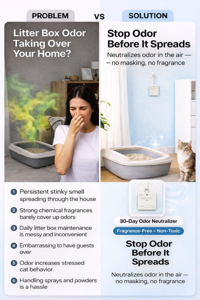 MoodifyPet Cat Litter Box Odor Neutralizer — 3 Pack (Multi-Cat)