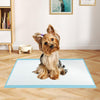 Dog and Puppy Pee Pads 24
