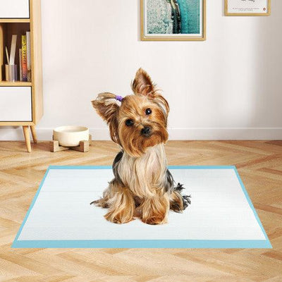 Dog and Puppy Pee Pads 24
