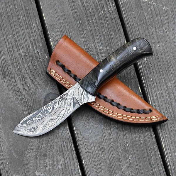 Pulse Compact Knife with Ram Horn Handle - Gifts for You 'n Me
