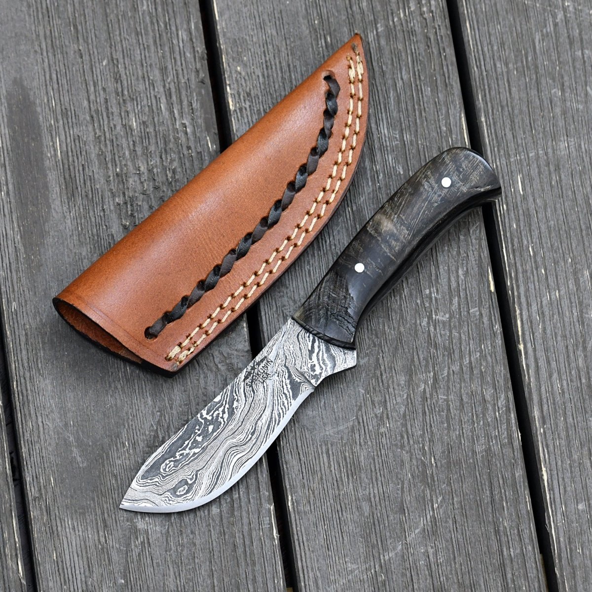 Pulse Compact Knife with Ram Horn Handle