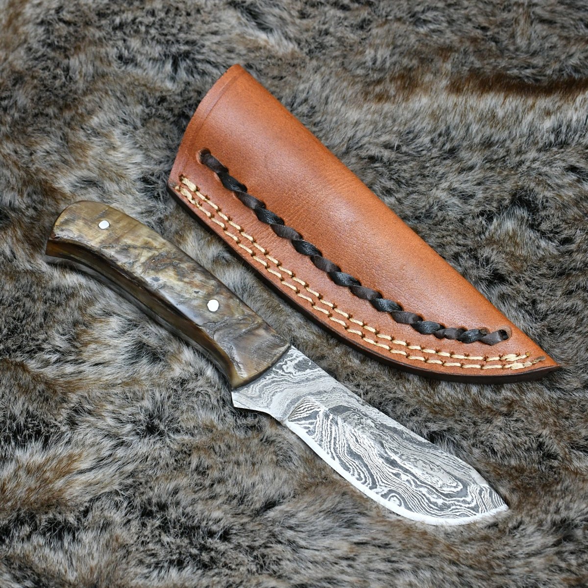 Pulse Compact Knife with Ram Horn Handle