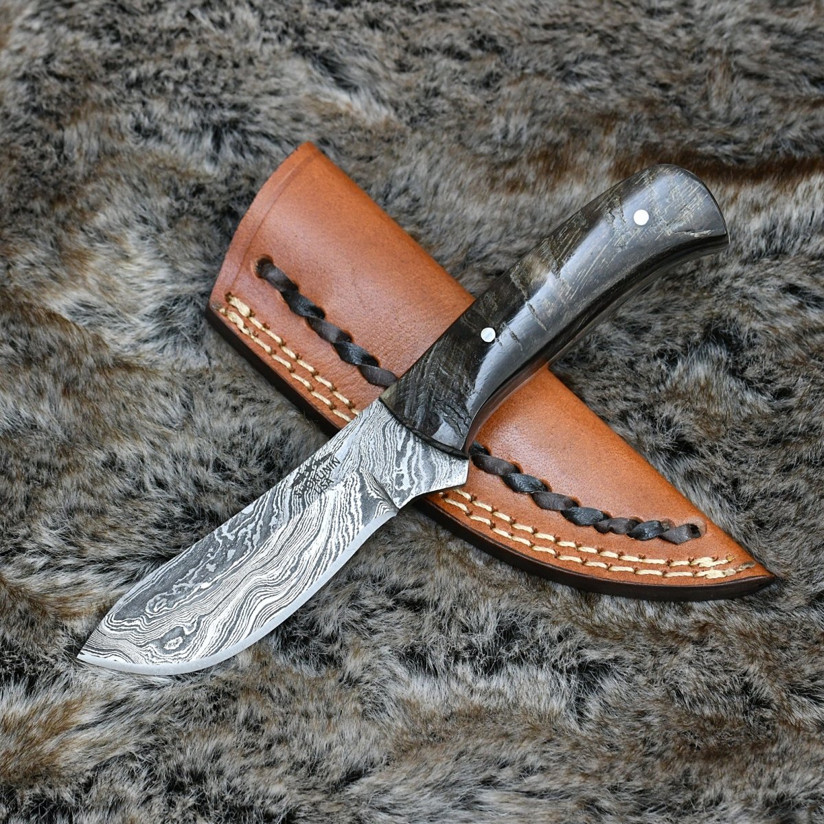 Pulse Compact Knife with Ram Horn Handle