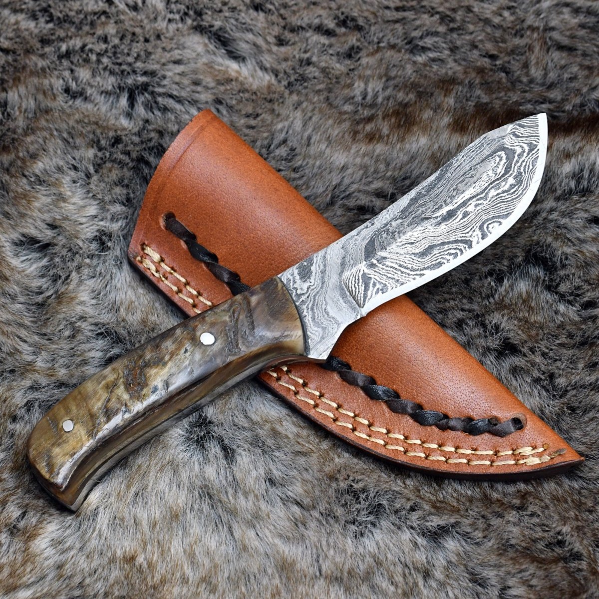 Pulse Compact Knife with Ram Horn Handle