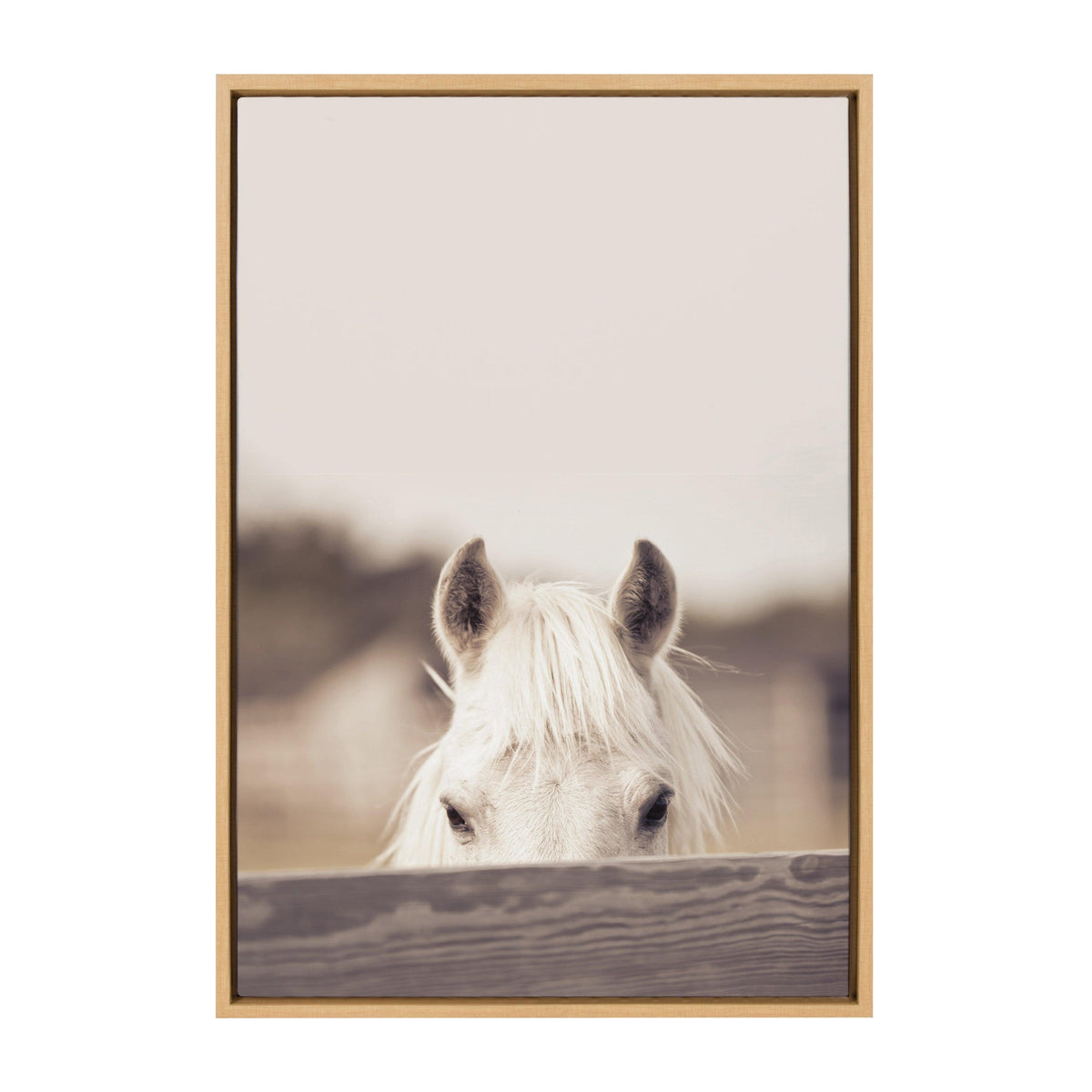 Sylvie Equine Framed Canvas by Robert Cadloff of Bomobob
