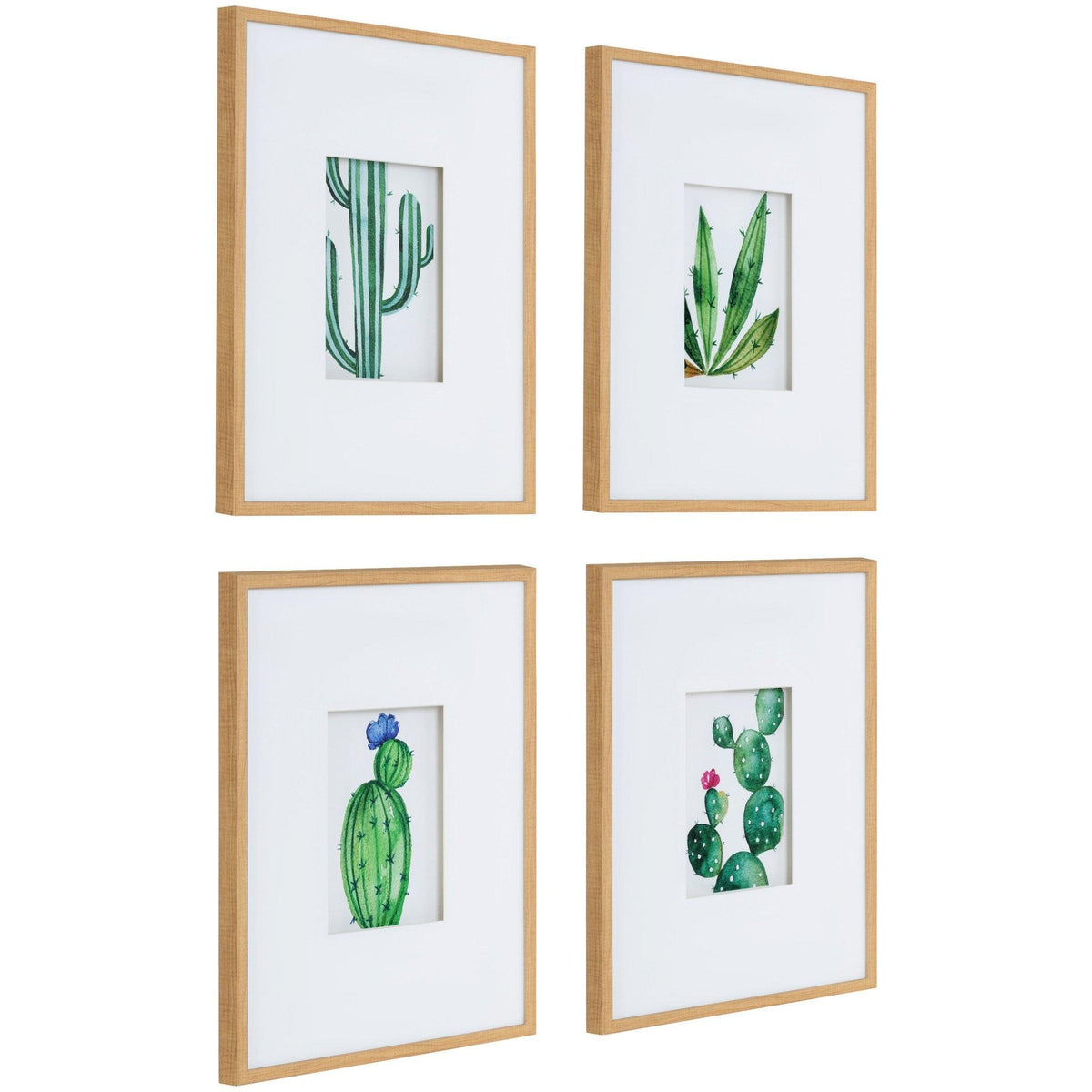 Liev Succulent Framed Print Art Set by Maja Mitrovic