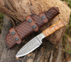 Quantum Camp Knife with Olive Wood Handle