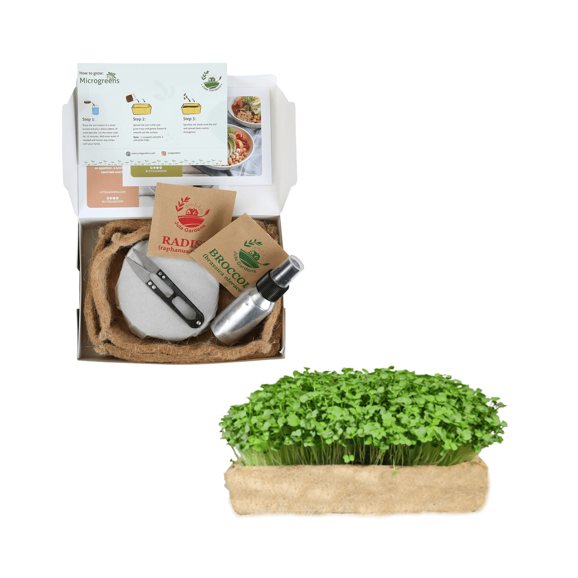 Jute Gardens Microgreen Growing Kit – Broccoli & Radish Seeds, Eco-Friendly Indoor Gardening Set