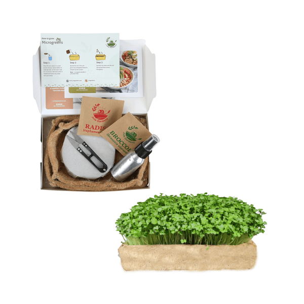 Jute Gardens Microgreen Growing Kit – Broccoli & Radish Seeds, Eco-Friendly Indoor Gardening Set