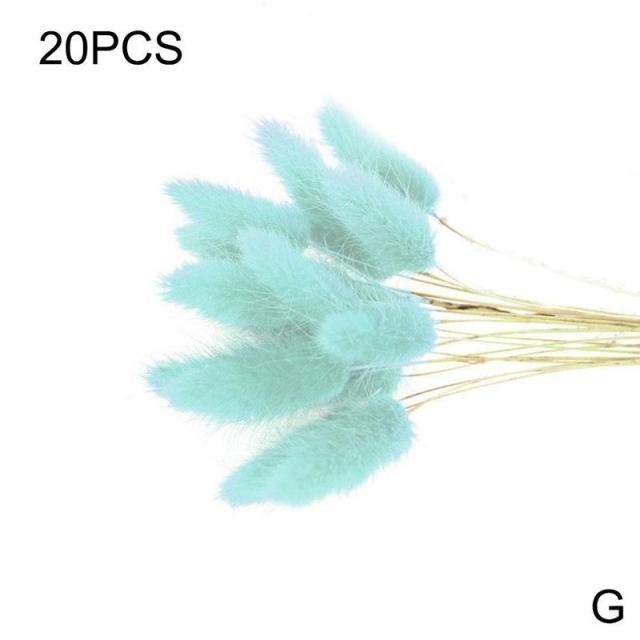 Real Dried Grass Reed Flower Natural Dry Small Bulrush Bouquet Pampas Reeds Home Decoration Wedding Decor Pompass Grass Branches for Vase Artificial Grass Room Décor Wedding Decorations