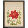 Red Flower and Calligraphy 1500s Bookplate Reproduction Print in Black Beaded Frame