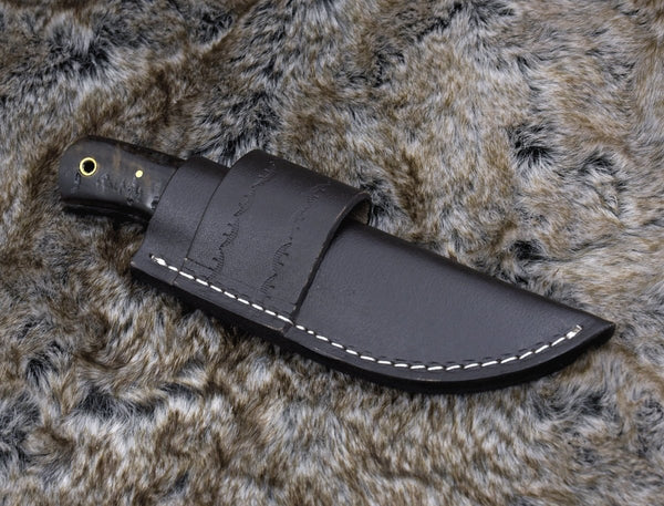 Resonance Every Day Carry Knife with Ram Horn Handle