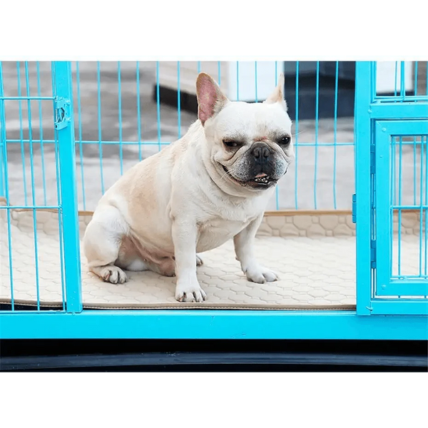 Reuseable Dog Pee Pads Dog Diapers Puppy Waterproof Mat For Pets - Washable Training Pads for Dogs Cats Rabbit