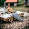 Ringtail Damascus Hunting Knife Camel Bone Handle