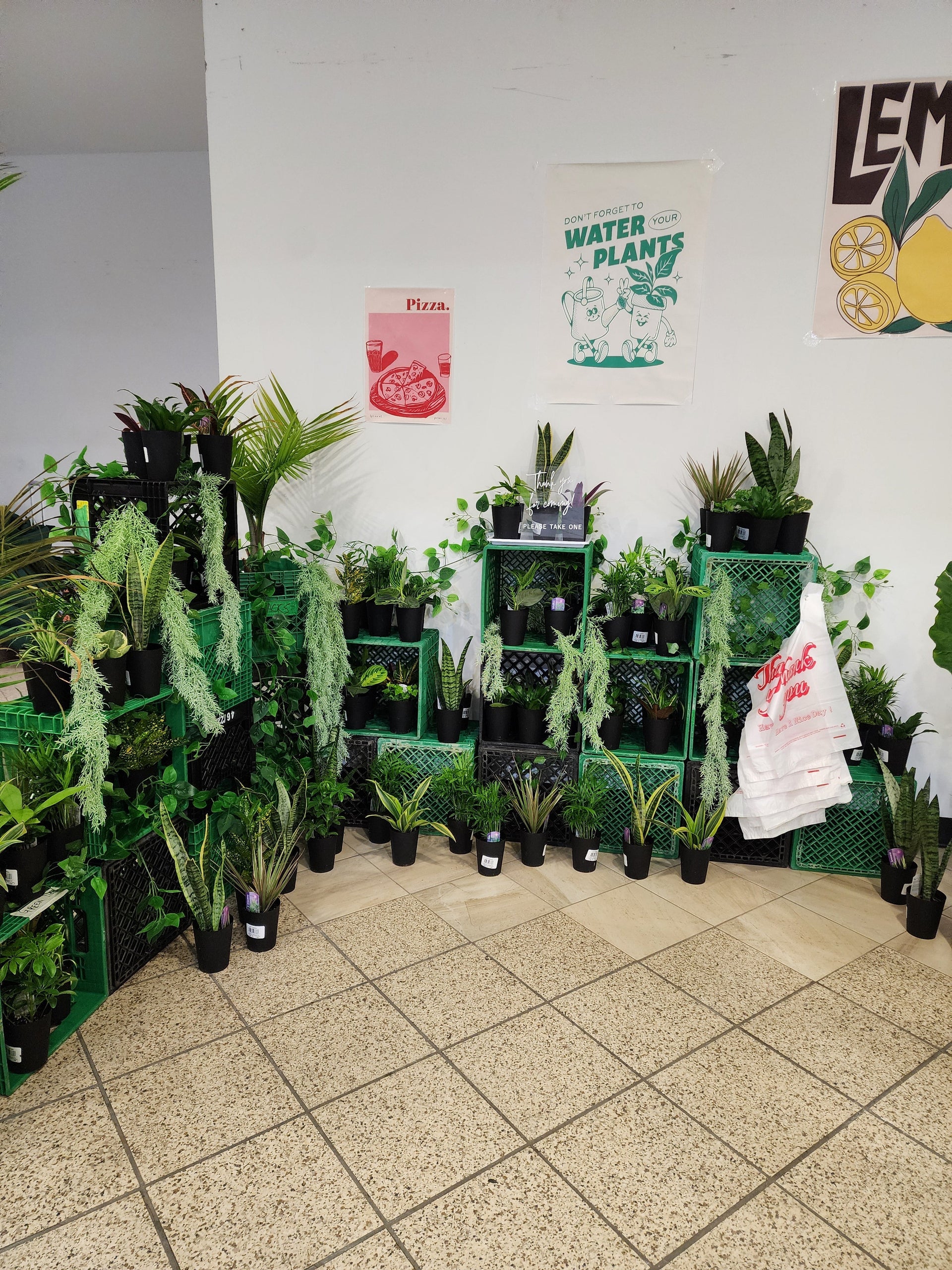 Plant Bar Plantita & Co. Bloom Bar & Studio