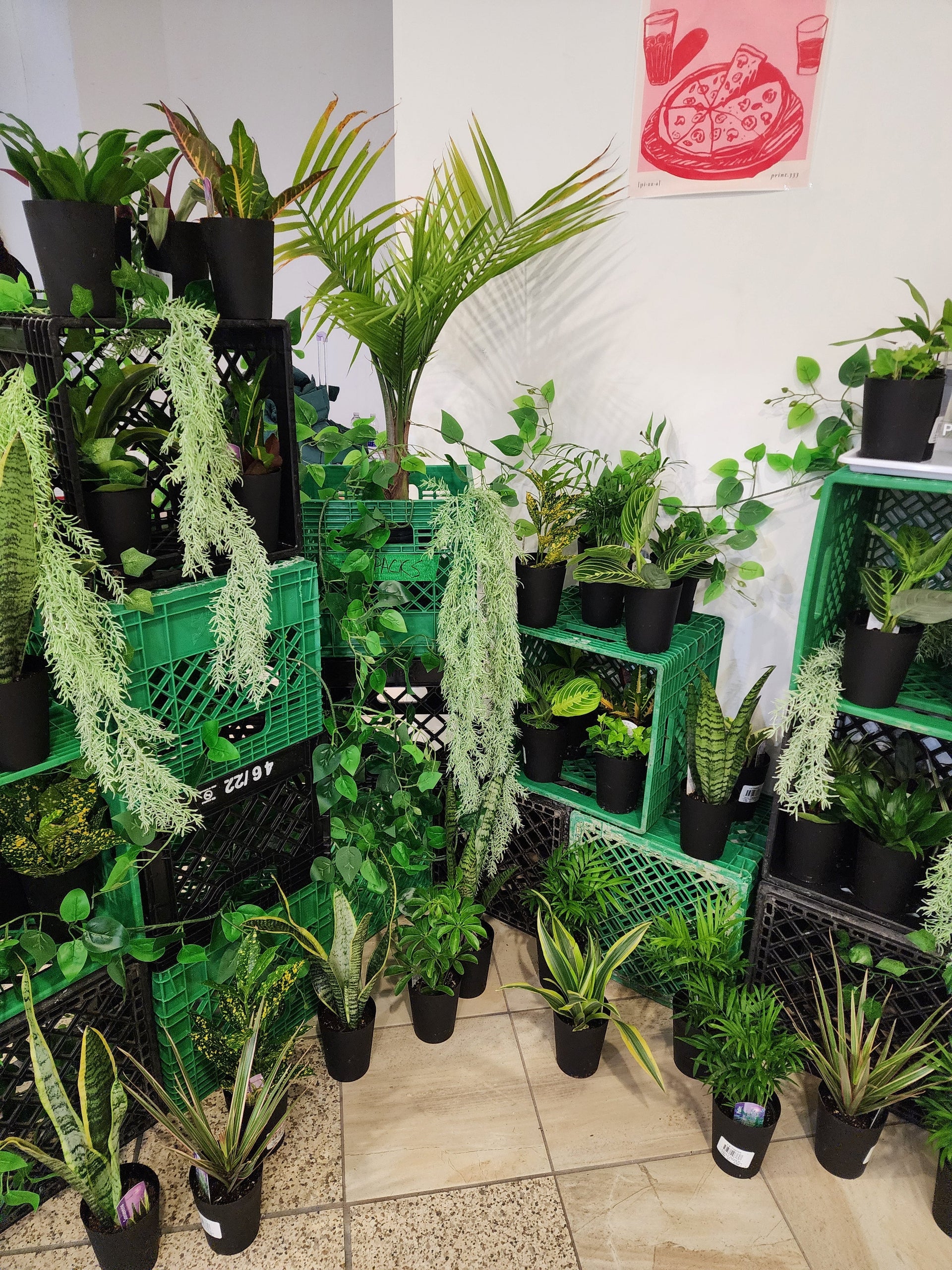 Plant Bar Plantita & Co. Bloom Bar & Studio