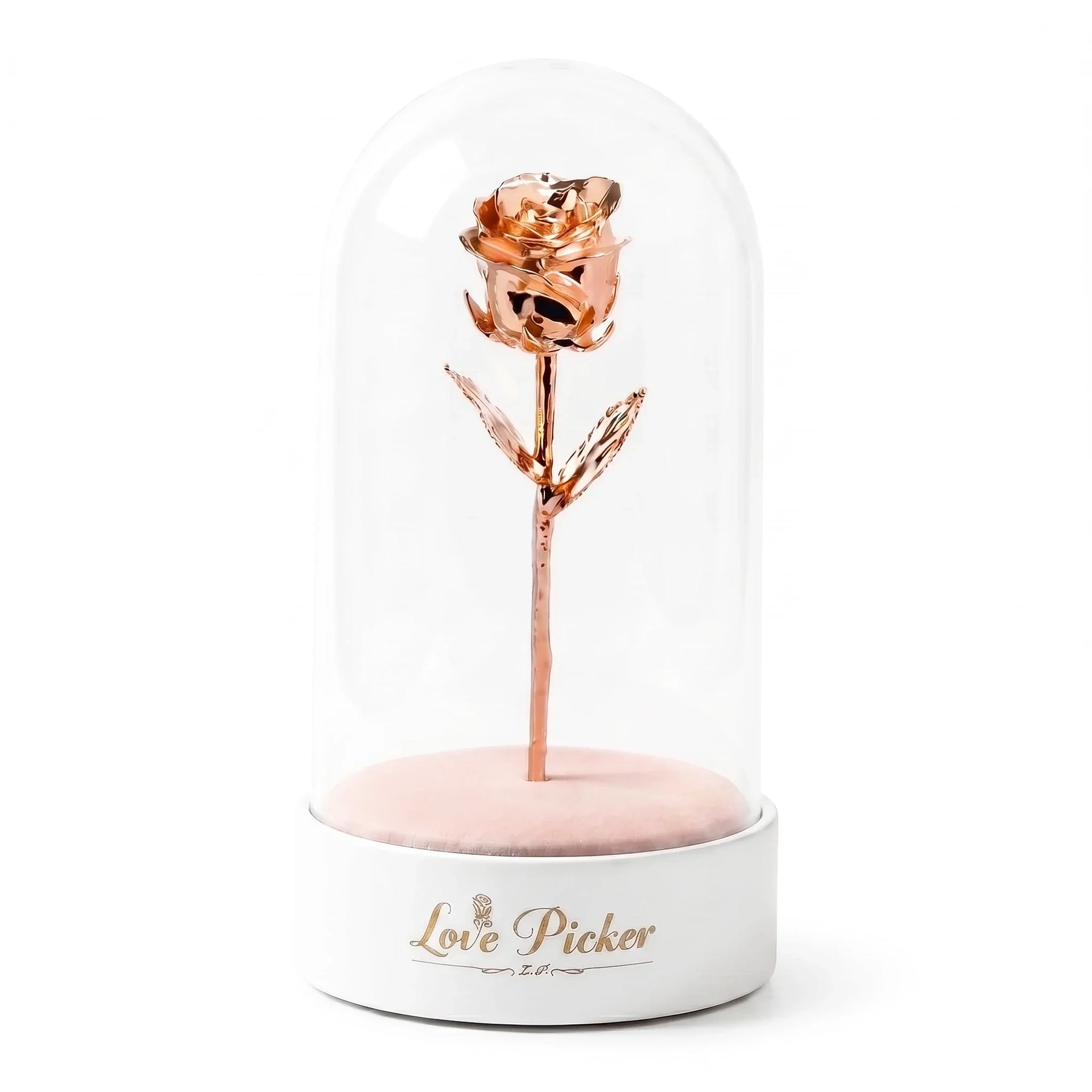Signature Clear 7” Rose Dome