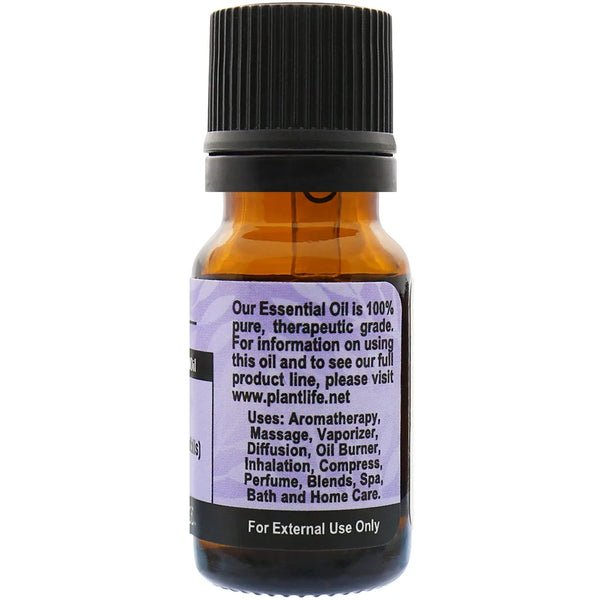 Rosemary Essential Oil - Gifts for You 'n Me