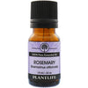 Rosemary Essential Oil