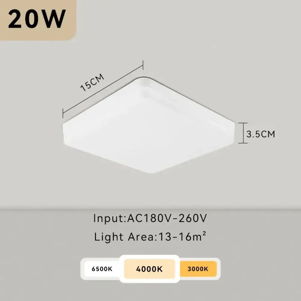 Round Panel Ceiling Light | Modern Interior Home Lighting