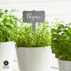 [COL] Window Garden Markers - Your Favorite 5 - Herb Garden Plant Identification Stakes