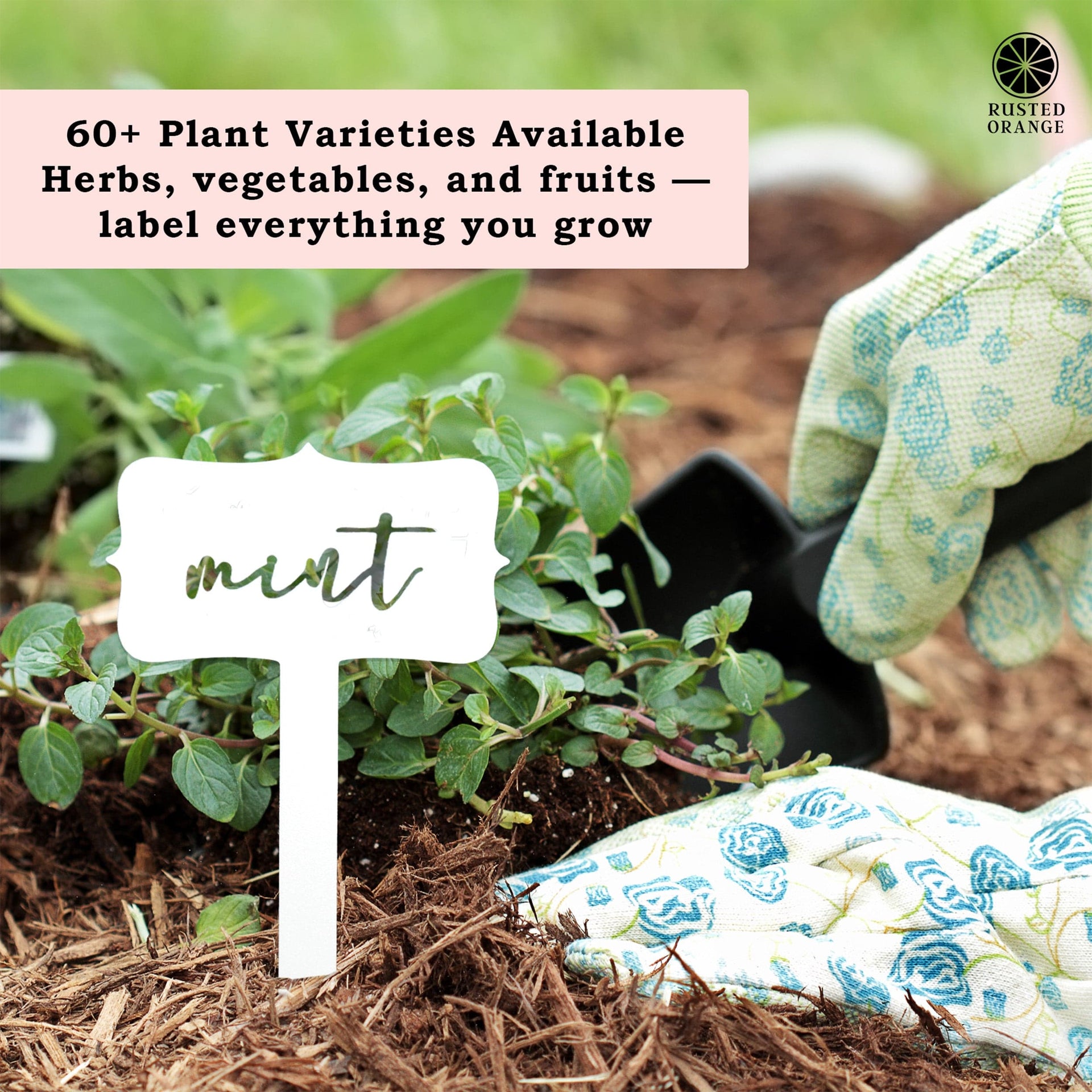 [COL] Window Garden Markers - Your Favorite 5 - Herb Garden Plant Identification Stakes