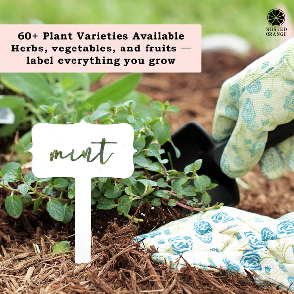 [COL] Window Garden Markers - Your Favorite 5 - Herb Garden Plant Identification Stakes