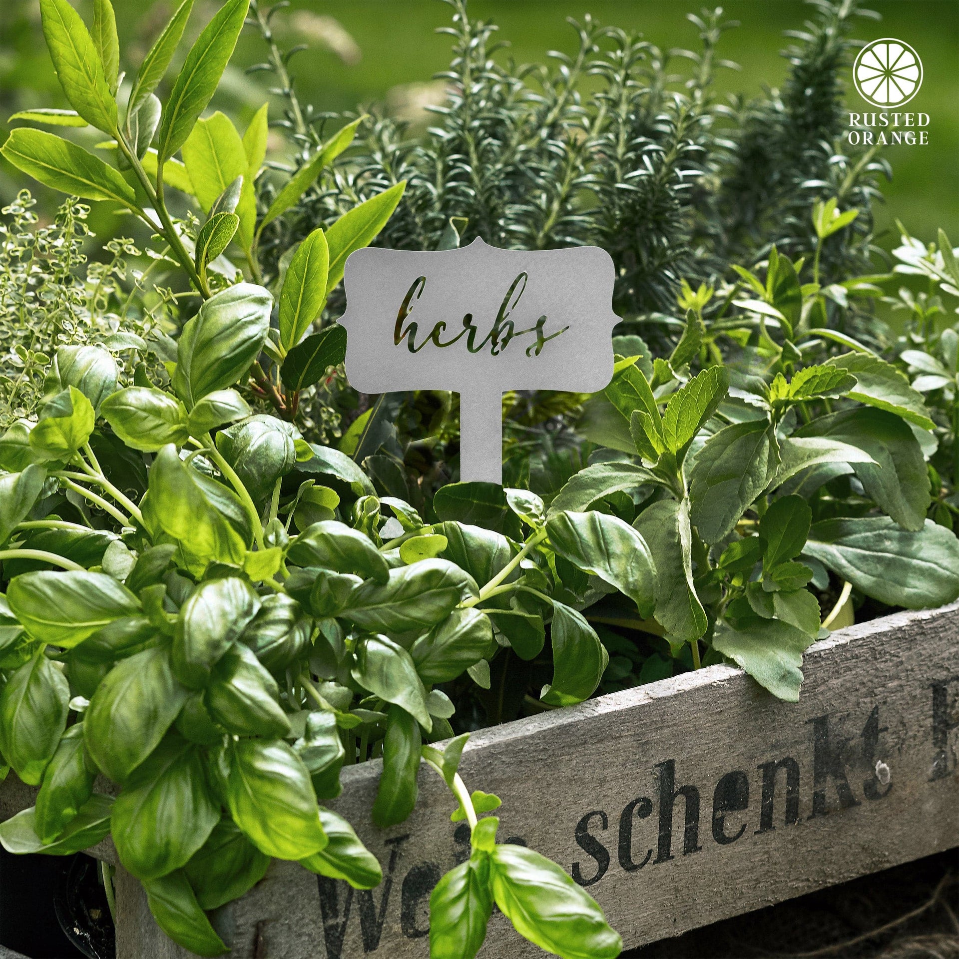 [COL] Window Garden Markers - Your Favorite 5 - Herb Garden Plant Identification Stakes