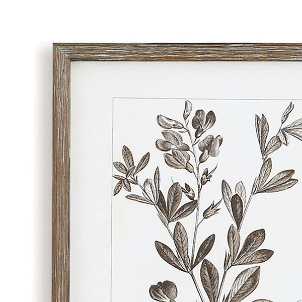 Rustic Botanical Sepia Wall Art Prints (Set of 9)